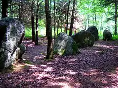 Photographie d'un alignement de menhirs dans un sous-bois.