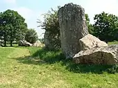 Partie de l'alignement de Lampouy.