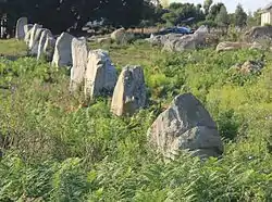 Les alignements du Gueldro.