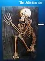 Squelette humain découvert à Atlit Yam