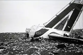 La section arrière du Douglas DC-8 d'Alitalia après l'accident.