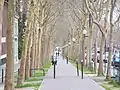 Trottoirs arborés du boulevard.