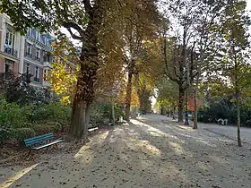 Photo prise en automne d’une allée entourée d’arbres