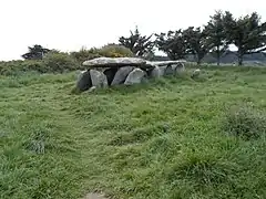 Allée couverte de l'Île-Grande