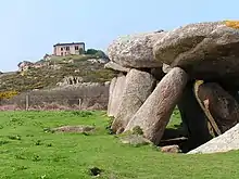 Allée couverte de l'île Milliau