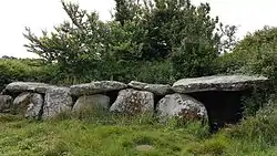 Image illustrative de l’article Dolmen et allée couverte de Kergüntuil