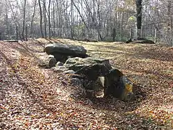 Image illustrative de l’article Dolmen de la Pierre Plate