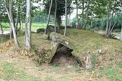 L'allée couverte de Lann-et-Vein.