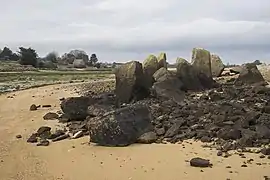 Allée couverte de l'île Coalen