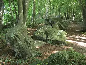 Allée couverte de la Petite Roche