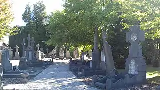 Allée latérale du cimetière.