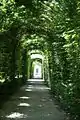 Une des allées d'une longueur de 150 mètres qui délimitent le jardin, dénommées berceaux et composées de charme commun.