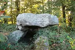 Allée couverte du Bois du Rocher