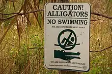 Panneau portant le message : « Caution alligators No swimming » et, au-dessous, un dessin de nageur barré et le dessin d'une tête d'alligator.