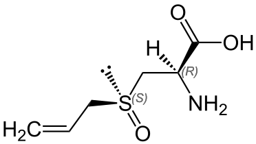 Structure de l'alliine, un sulfoxyde naturel.