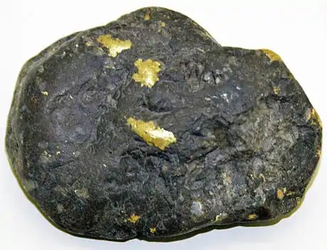 Claste encore recouvert en petite partie d'or natif, galet rocheux de monzonite d'âge crétacé proche de 76 Ma, déblai récent probable de l'exploitation des mines locales de molybdénite et de chalcopyrite, placer de Silver Bow Creek, Butte, Montana, USA