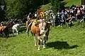 Exemple de maîtresse-vache avec sa grande clarine et sa coiffe florale, ici à Bad Kleinkirchheim, Autriche.