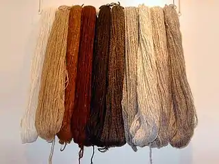 Quelques-unes des couleurs naturelles de l'alpaga (laine filée)