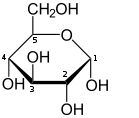 Le D-Glucose, en représentation de Haworth