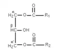 Figure 3 : α,α'-diglycéride.