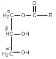 Figure 2 : α-monoglycéride.