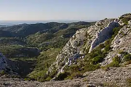 Saint-Rémy-de-Provence dans le Parc naturel régional des Alpilles, dans le nord-ouest.