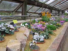 Alpine House