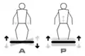 Plate-forme A et P, A: Oscillante (Alternatives), P: Vibrante (Parallèles)