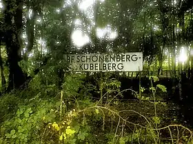 Schönenberg-Kübelberg