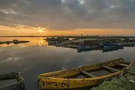 Dans le delta. Octobre 2016.