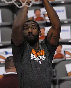 Image illustrative de l’article Amar'e Stoudemire