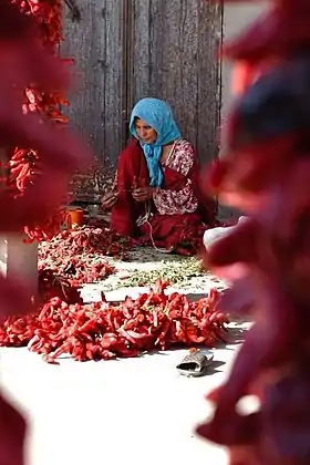 Image illustrative de l’article Harissa