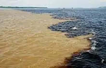 Rencontre des eaux du Rio Negro et du Rio Solimões