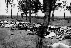 Image illustrative de l’article Génocide arménien