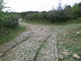 L'oppidum romain d'Ambrussum à Villetelle.