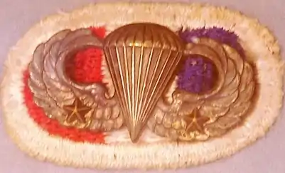 Basic Parachutist Badge avec deux étoiles de saut monté sur un patch aux couleurs du 506th PIR.