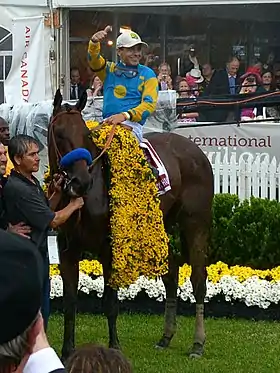 Image illustrative de l’article American Pharoah