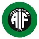 Logo du Ammerud Basket