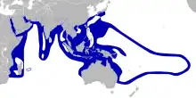 Carte de l'Indo-Pacifique.