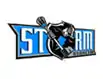 Logo du Storm d’Anaheim