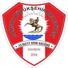 Logo du Anakent Spor Kulübü