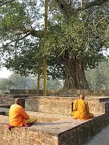 Moines méditant sous l’arbre d’Anandabodhi