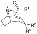 Structure moléculaire générale des anatoxines