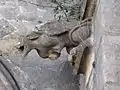 Gargouille du porche