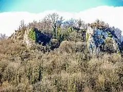 Les ruines du château d'Arguel.