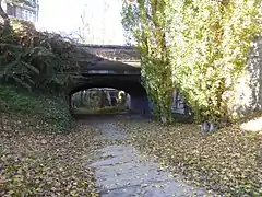 Lit de la Bièvre recouverte sous le pont de l’avenue Paul Doumer (en 2017, avant les travaux de remise à surface)