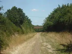 L'ancienne voie ferrée Segré-Nantes est devenue un chemin de randonnée.