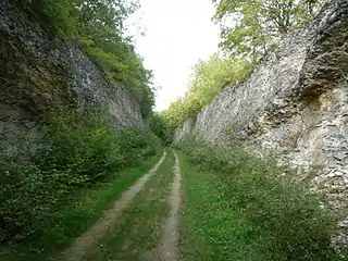 La ligne en tranchée dans la roche.