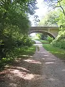 Sous le pont de l'avenue Descartes