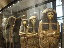 Sarcophages égyptiens disposés debout, derrière une vitrine.